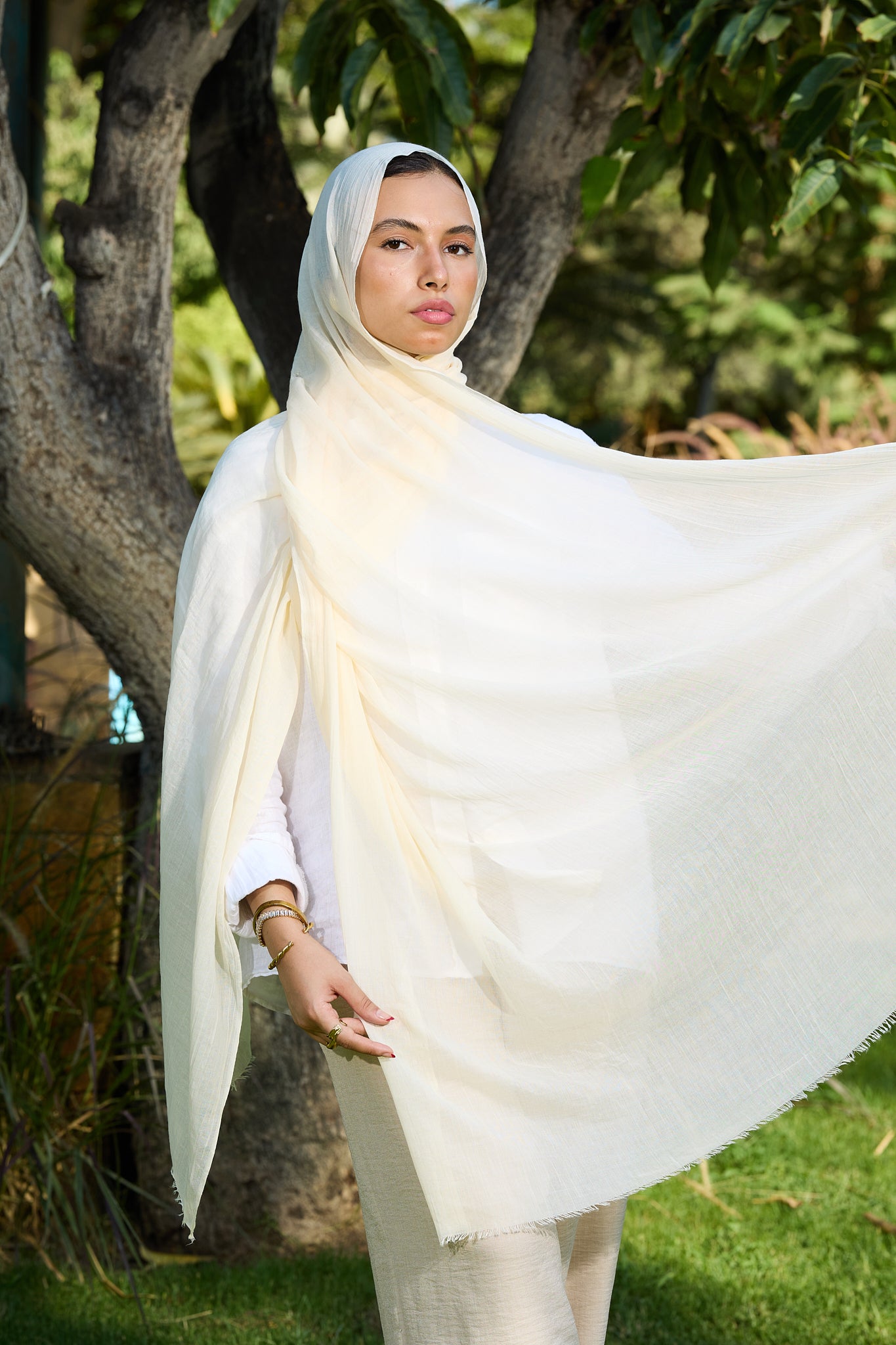 Ivory