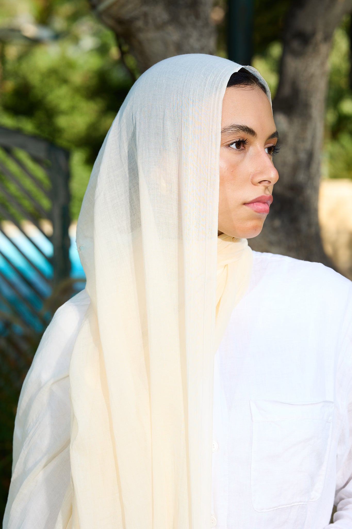 Ivory